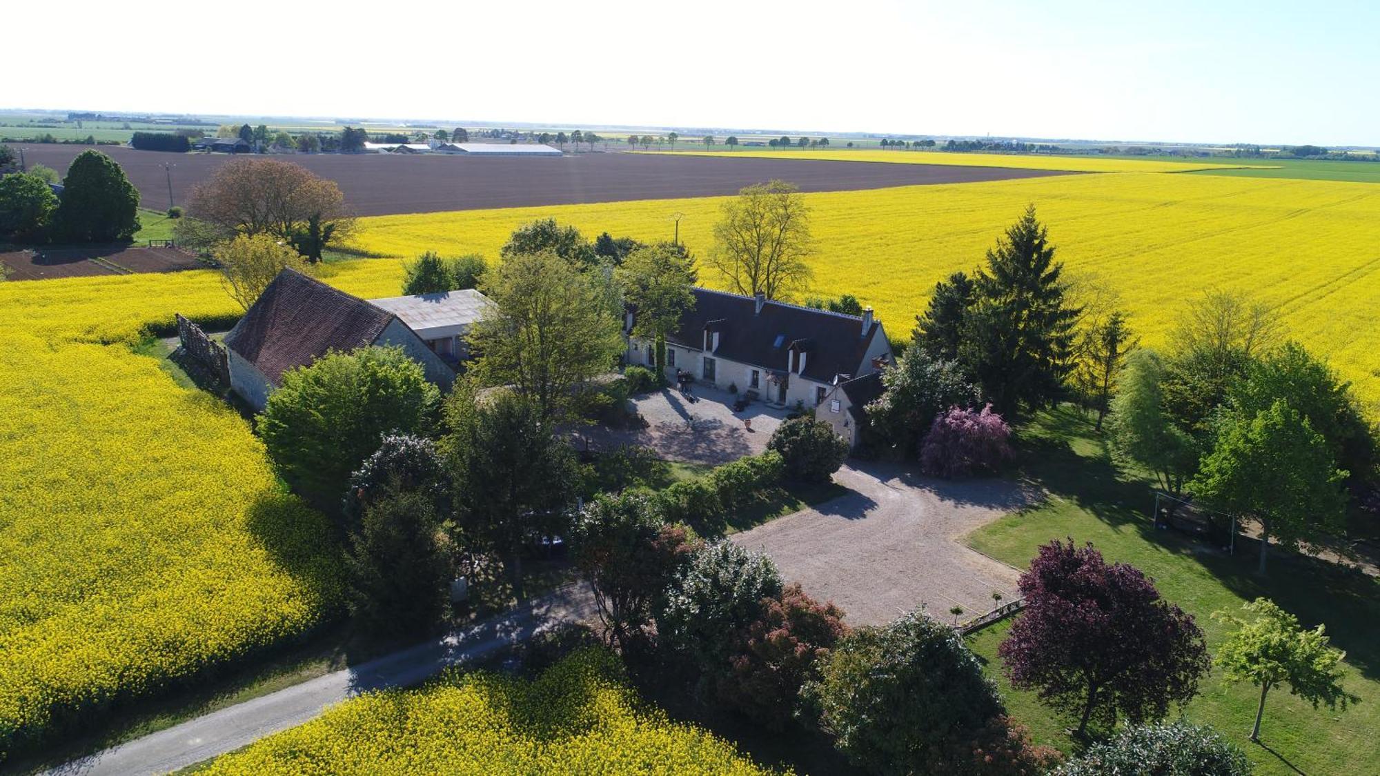 La Bihourderie Bed & Breakfast Azay-sur-Indre Exterior foto
